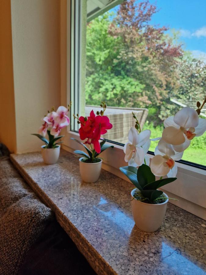 Ferienwohnung Bayernbrise ローアドルフ エクステリア 写真