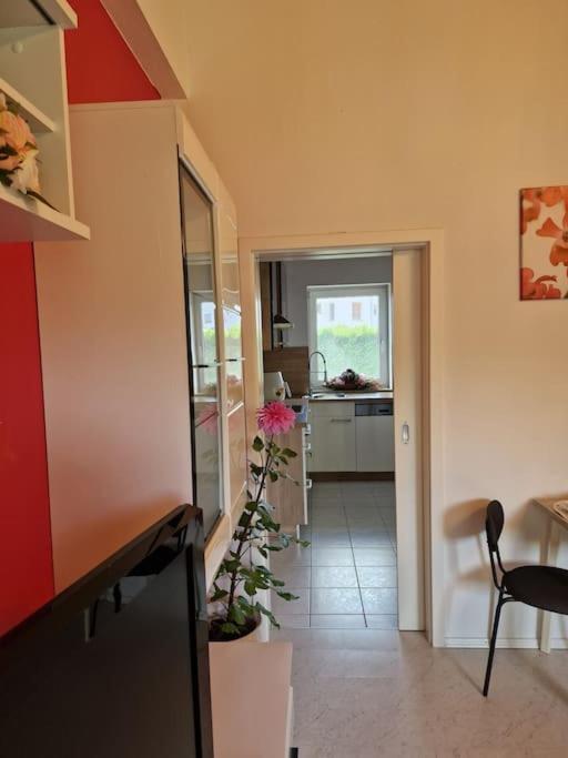 Ferienwohnung Bayernbrise ローアドルフ エクステリア 写真